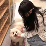 半岛手机综合体育官方下载安装